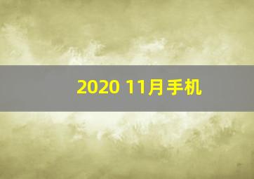 2020 11月手机